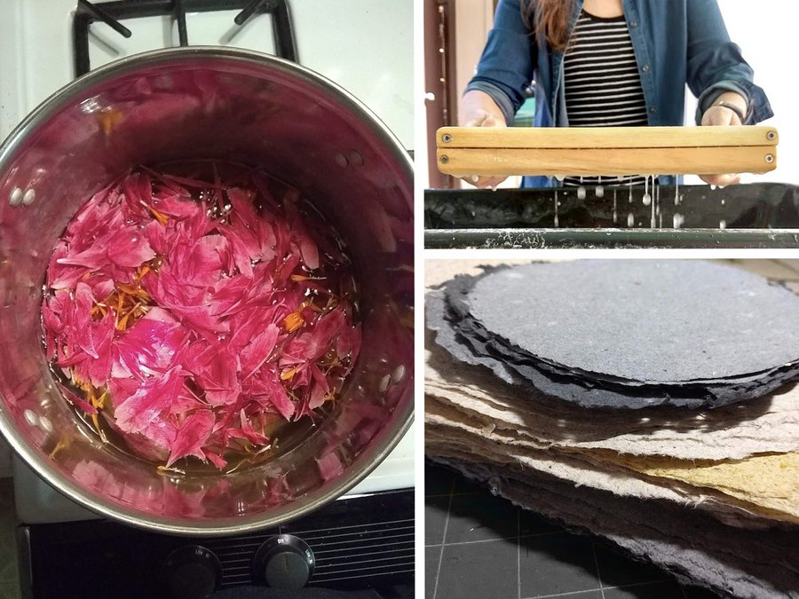 Plants to Paper: Papermaking with Natural Fibers image