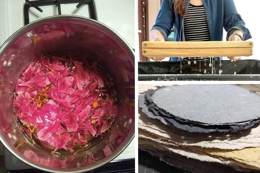 Plants to Paper: Papermaking with Natural Fibers image